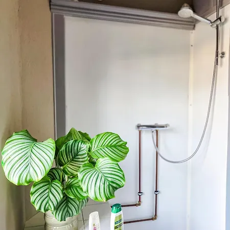 Cozy Self Check-in In Centre R 28 B - 1 Tv Appartement Aalborg